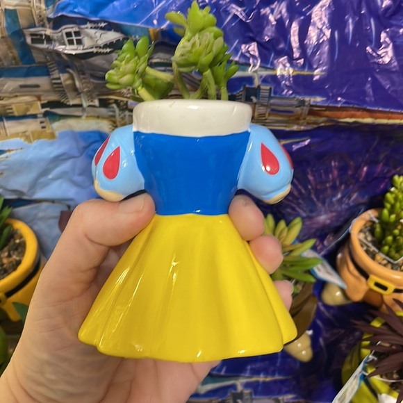 COPY - 🔥RARE🏰SOLDOUT DISNEY SNOW WHITE👗SEVEN DWARVES FAUX SUCCULENT TERRARIUM‼️… - Picture 4 of 17